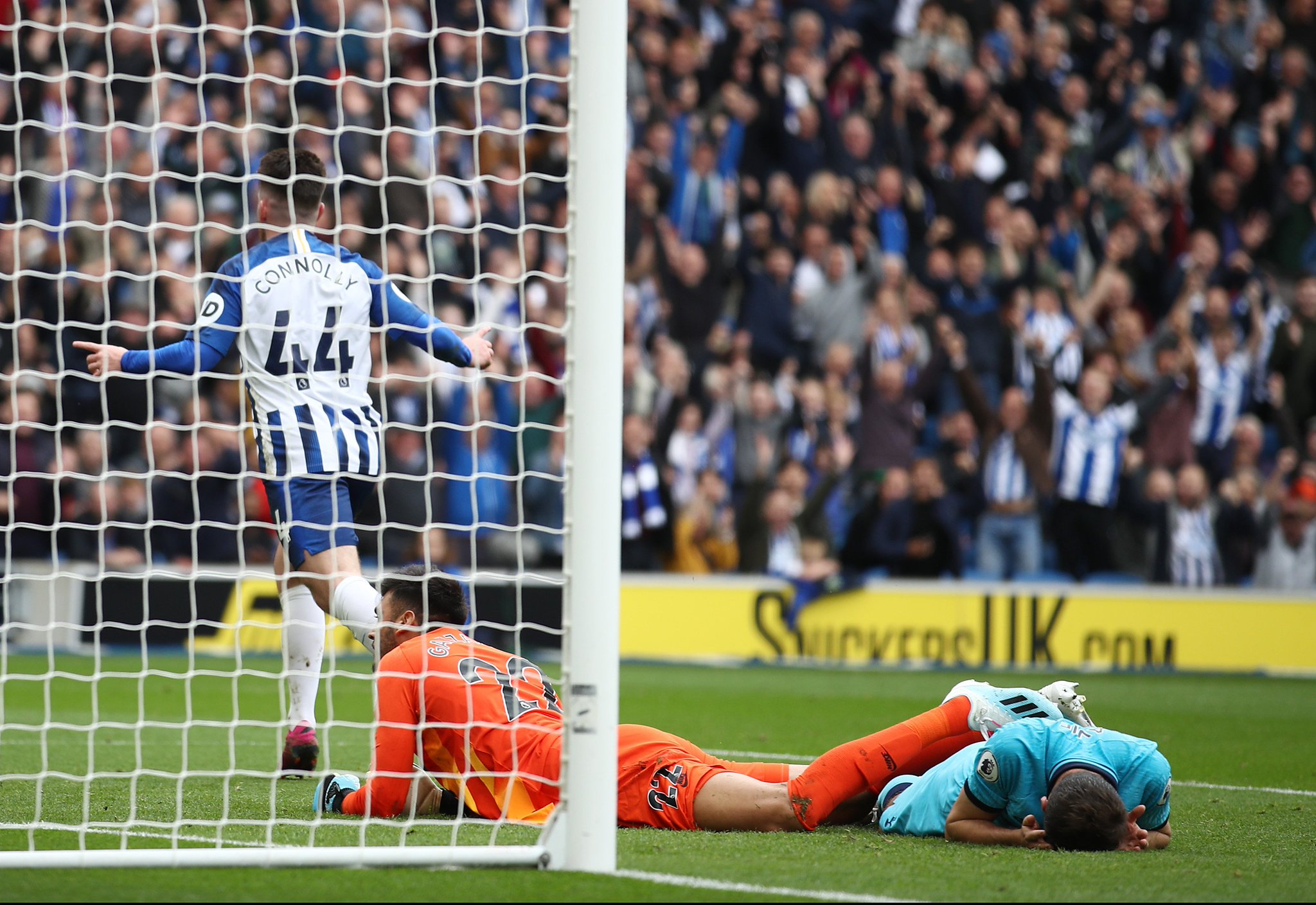 TP新生代 TP新生代